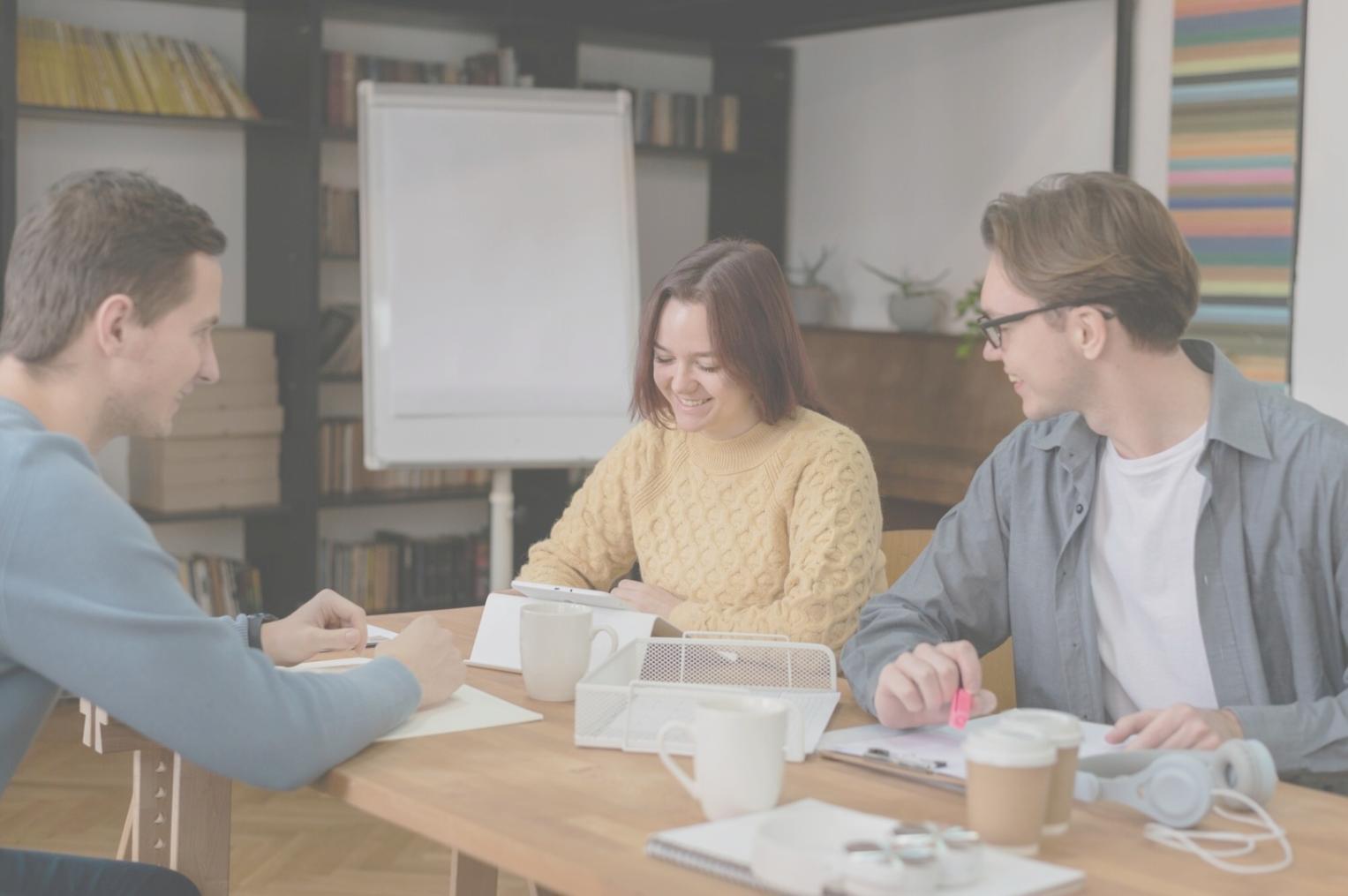 Program participant experience